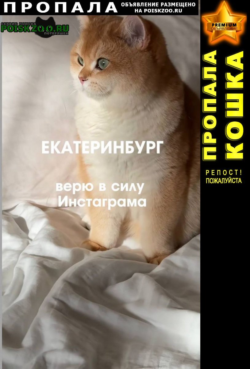 POISKZOO.RU™ tweet media