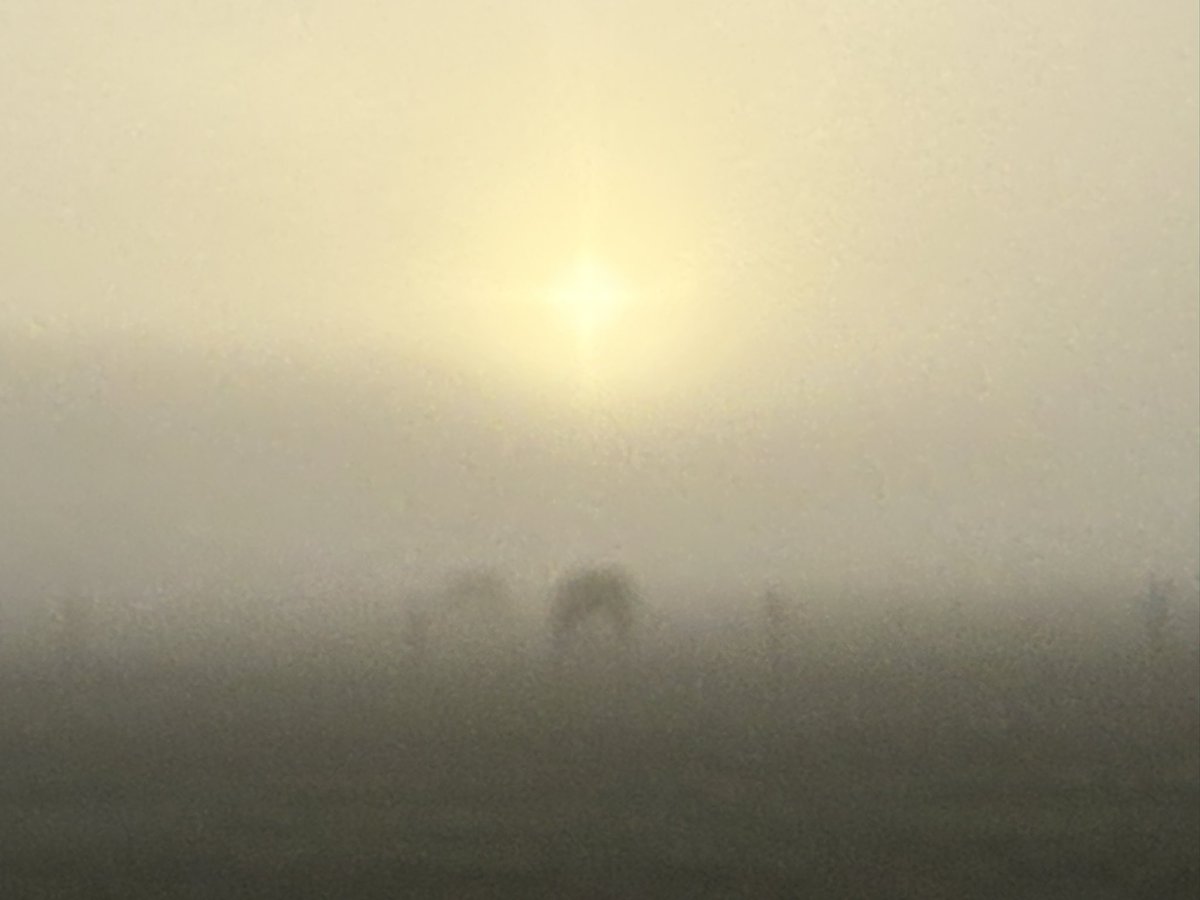 Sonntag Morgen mit dem Hund raus und dann so ein tolles Wetter