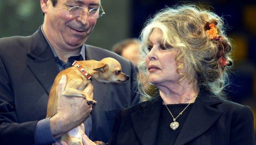 Isabelle Balkany tweet media