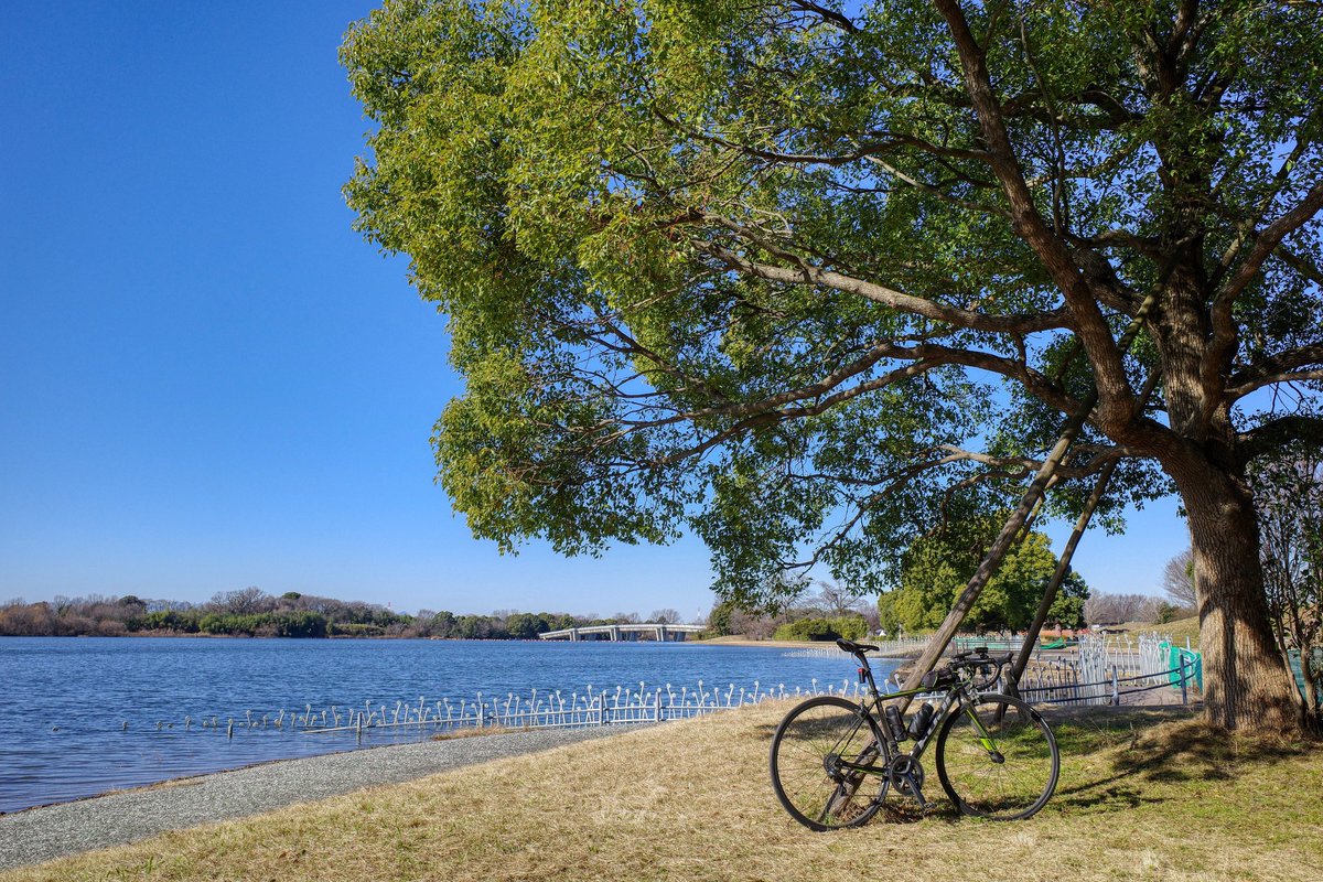 うなくーる tweet media