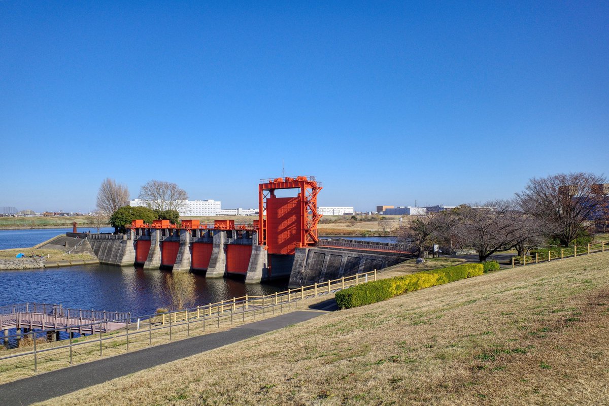 うなくーる tweet media