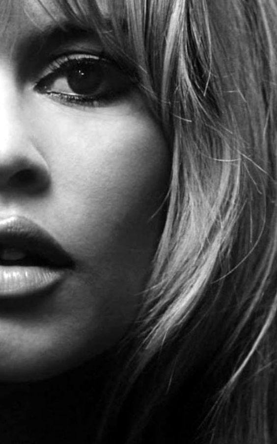 Pascal Dupont tweet media