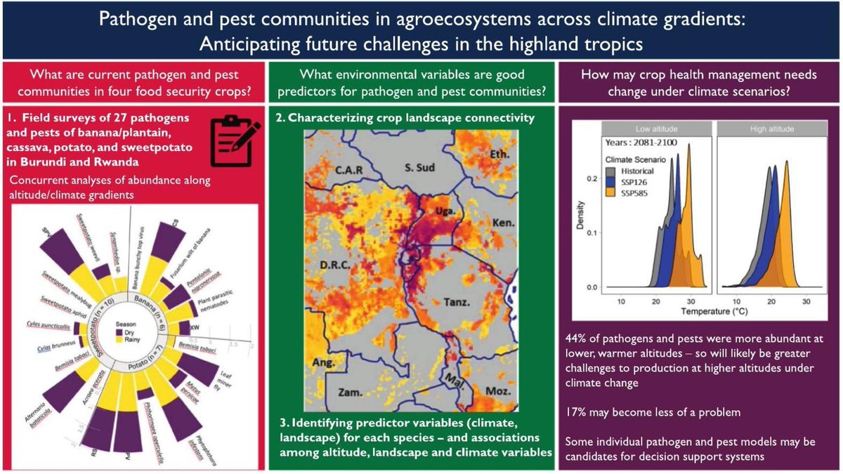 Joshua OKONYA 🇺🇬 tweet media