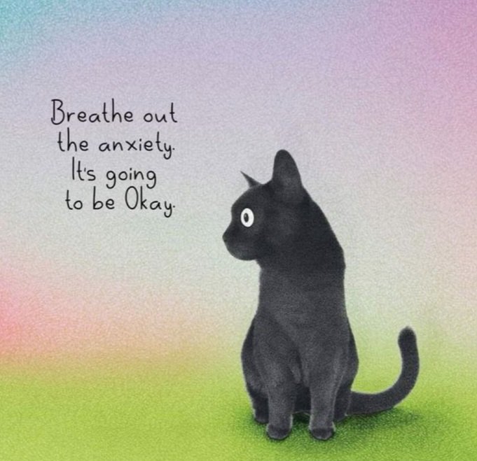 Jdu na procházku, škoda že nemám s kým... 🚶‍♀️😔 Klidně mi tu nechte, koťátka 😻, nebo i vtipy... 😂😘🫶🙋🏻‍♀️

(Když člověk není sám a přesto je sám)
 #procházka #samota #koťata #vtipy