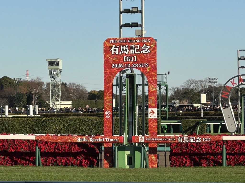 ☆早い者勝ち！残り（８日間）で終了！玉の柄　④ 黄金太郎のつぶやき | JIPANG