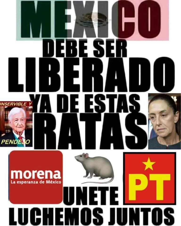 Rubén Portillo PROTESTO LO NECESARIO (@quintanaruben4) on Twitter photo 
