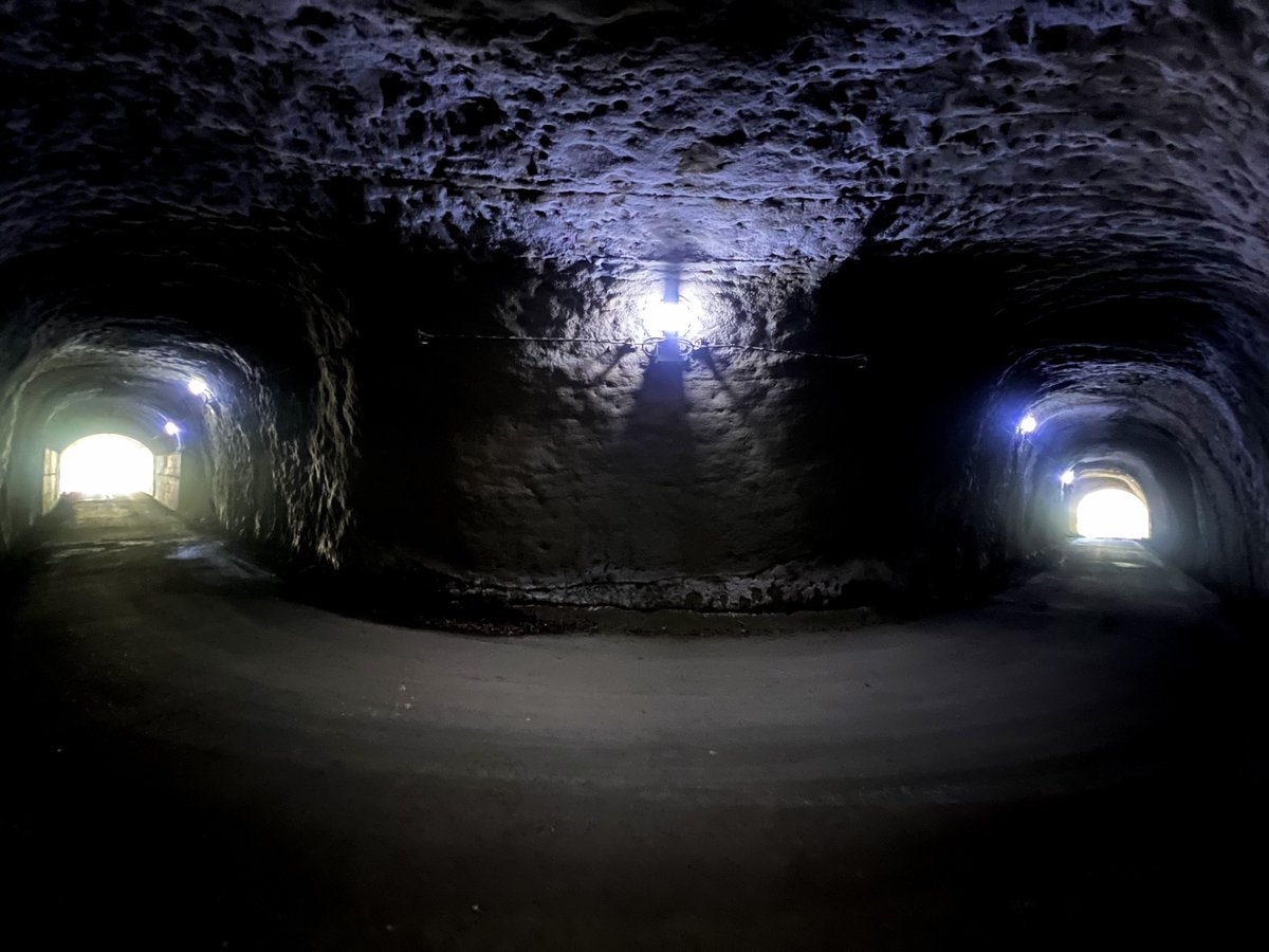 moaton's tweet image. ヤバトンネルたち