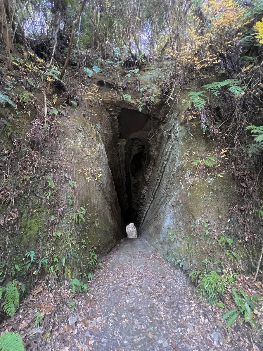 moaton's tweet image. ヤバトンネルたち