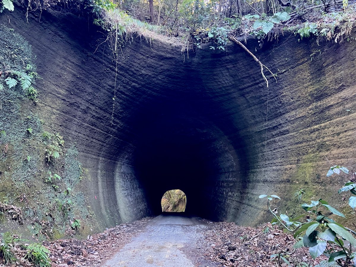 moaton's tweet image. ヤバトンネルたち