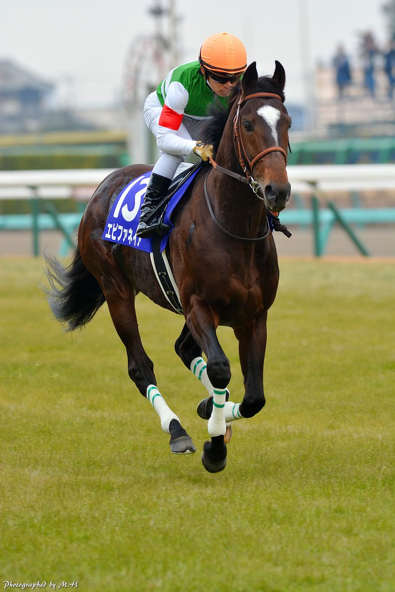 horse_memorys's tweet photo. 2014年12月28日有馬記念 https://t.co/JPtQjOGH63