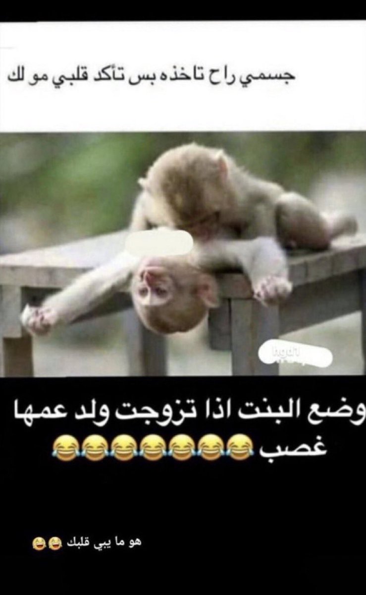 gr8rrrr's tweet photo. وضع البنت اذا  اتزوجت ولد عمها غصب https://t.co/jIJhMx6bRI