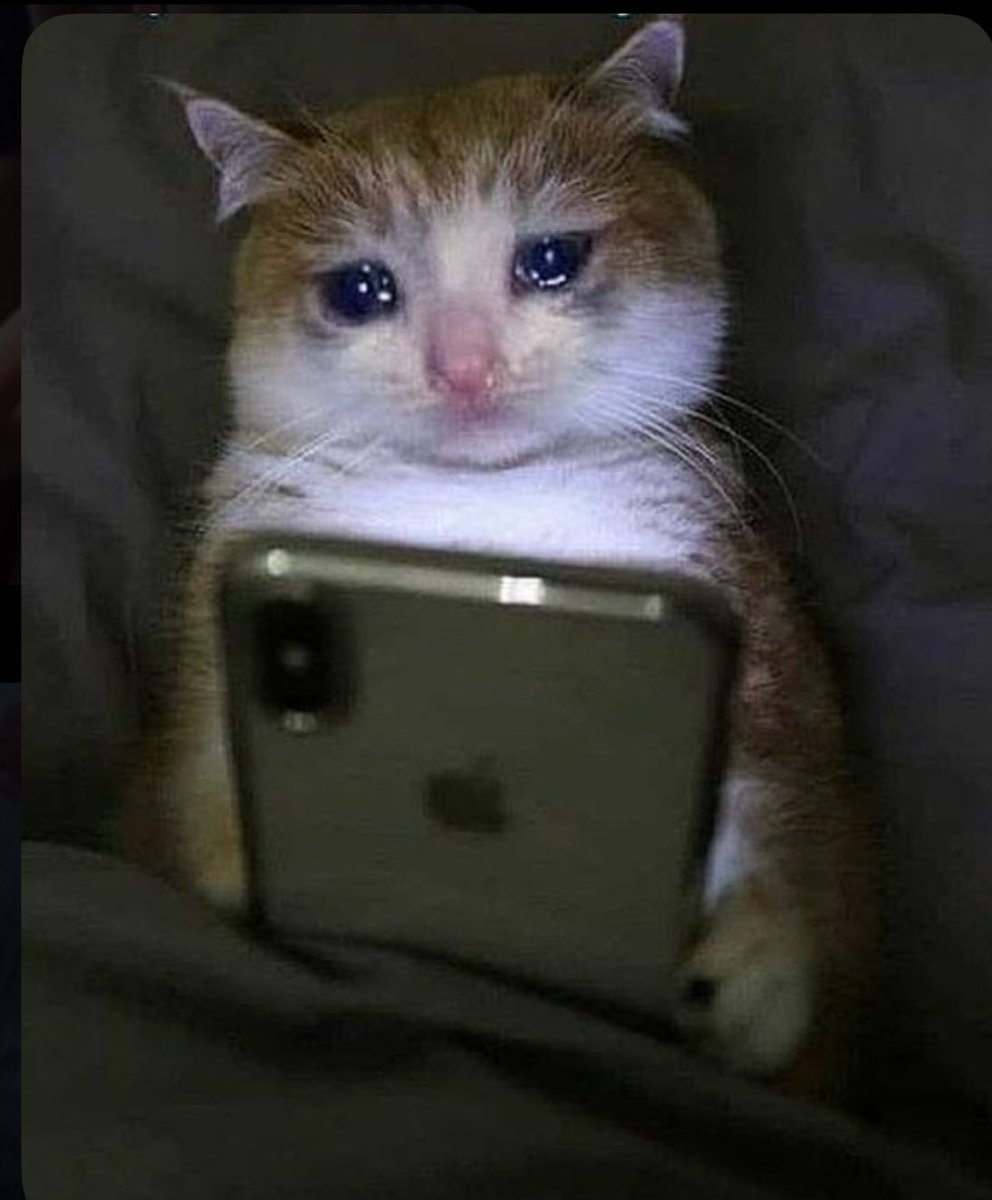 raxhalk's tweet photo. Period. Bloat. Fat. Emotions. Sad. Ugly. Acne. 😔 Frick my chungus life https://t.co/4Md4geelmM