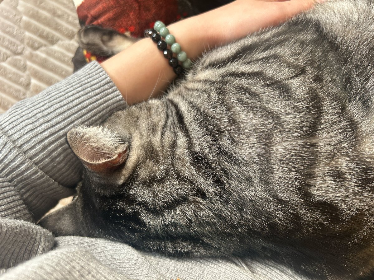 みるきー (@milkyma2) / Posts / X