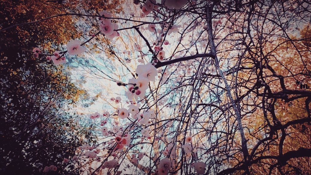 meruru* (@asmrurun) on Twitter photo 