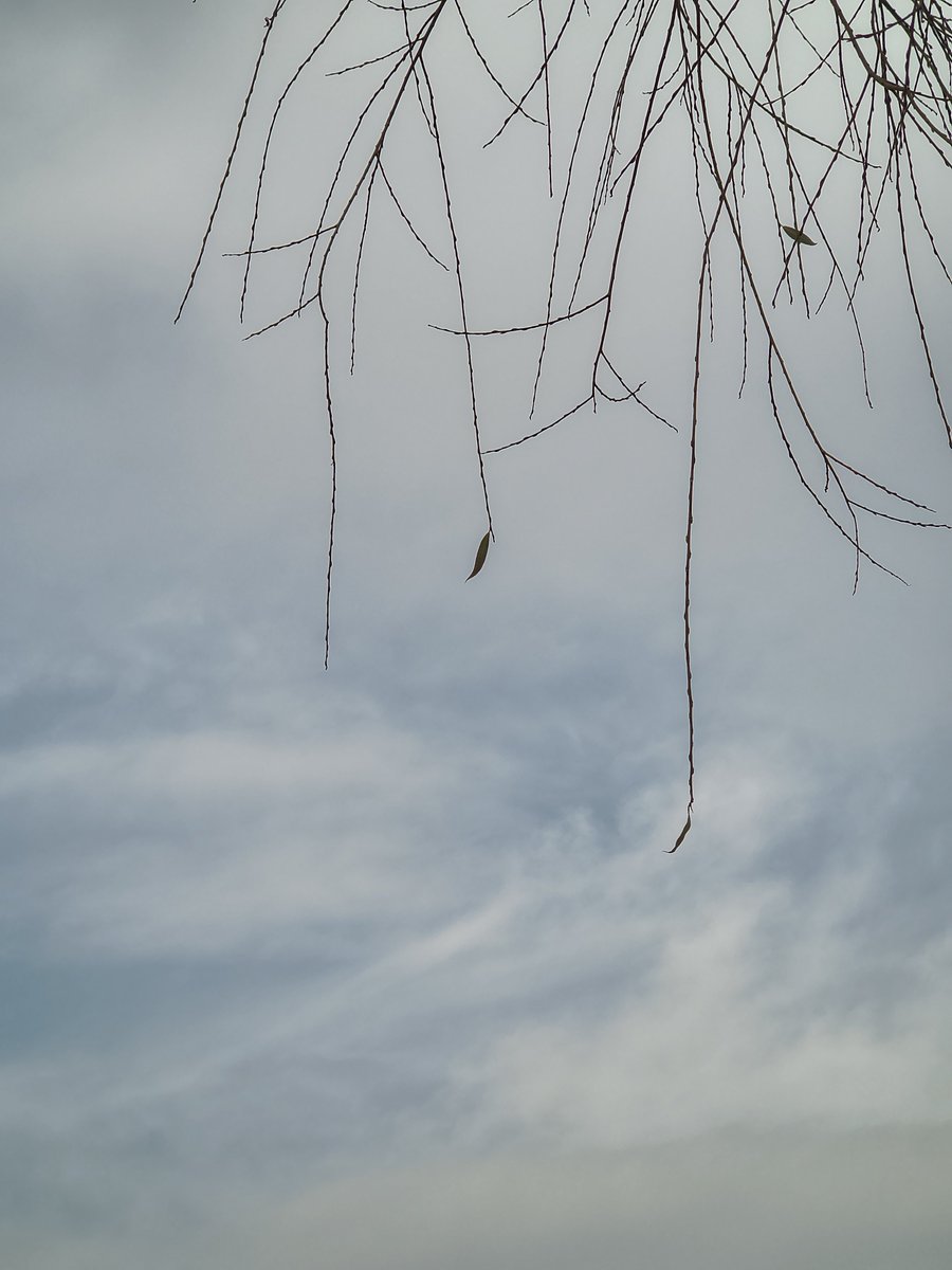 Beh91 (@behdadjalali) on Twitter photo 