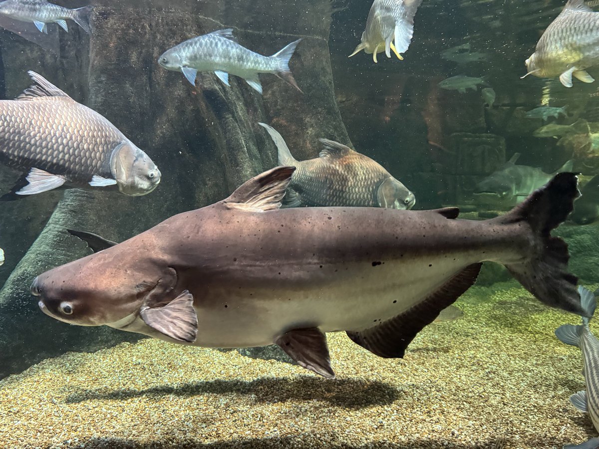 今年の水族館納め