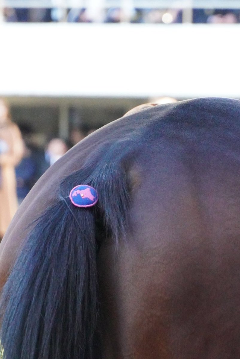 にょろにょろぴょん (@nyoronyoropyon) / Posts / X