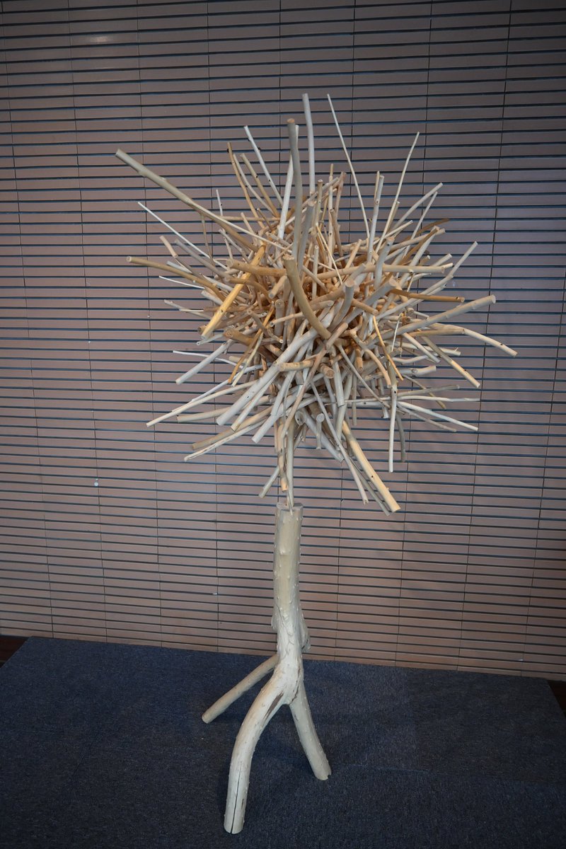 【#今日の樹華】
 14日目。
 四方八方に伸びた枝が、ウニやいがぐりを連想させます。
今日で2025年の #今日の樹華 は終了です。 来館者の手によって日々変化する様子を追うこのシリーズ、いかがでしたか？
来年は1月4日(日)から再開します！
＃旭川美術館　＃砂澤ビッキ