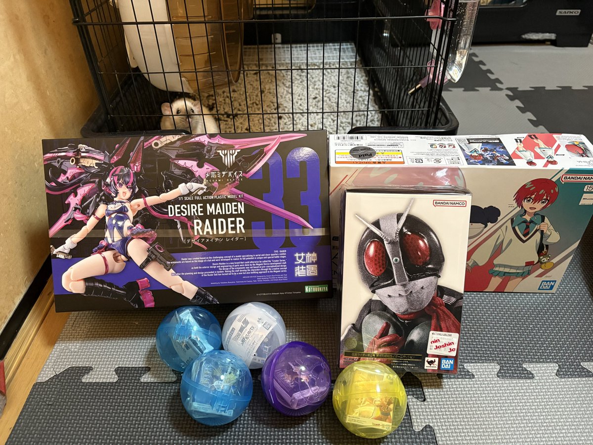 この前1号買ったから1号と2号揃えられるのたまらん フミナパイセンを