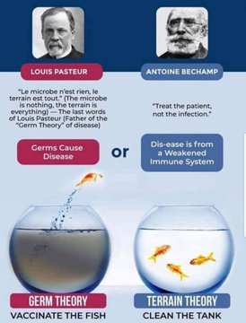 HarmonyHaven_1's tweet photo. 8. The Vaccine Narrative

➡️Vaccines have their place — but the narrative surrounding them quickly moved beyond science. What began as medicine became a tool of compliance, where questioning was forbidden and consent was coerced.

➡️Natural immunity was dismissed, alternative perspectives were silenced, and pharmaceutical giants reaped record profits. It stopped being about health — and started being about control.