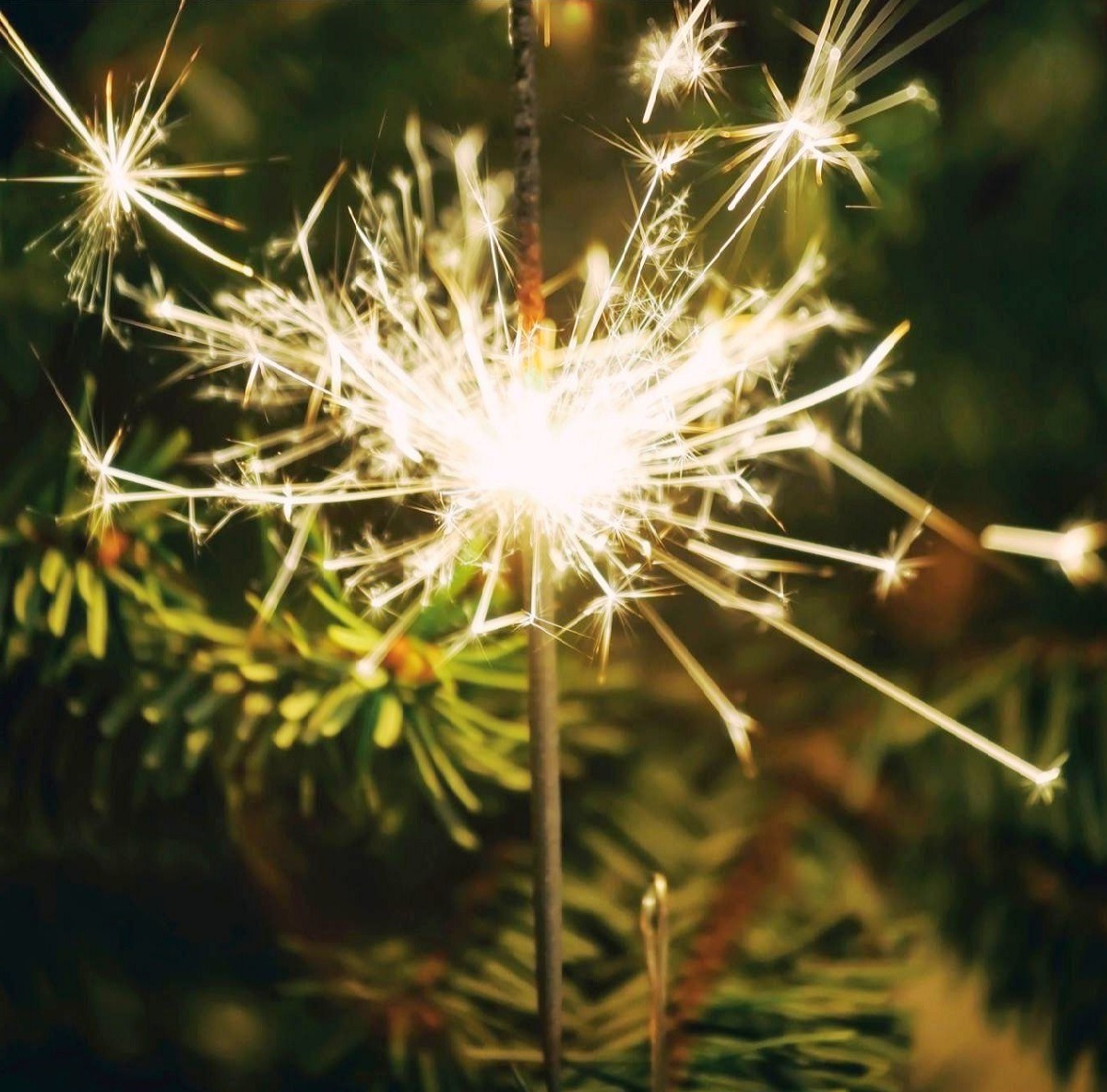 ❄️
"We're all flames in the fire.
 We're all stars in the sky.
 We are night and day and
 Winter and Spring.
 We are Everything."
 Kate Mc Gahan
         ❄️
🎄 Magic Sunday, World! 🎀
         ❄️
#December2025  #HolidaySeason #holidayspirit