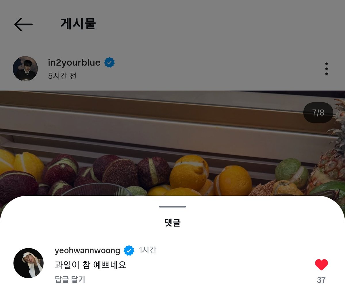 dadoo_kr's tweet photo. 두분이 참 포근하네요 https://t.co/IzhxmYVk3D
