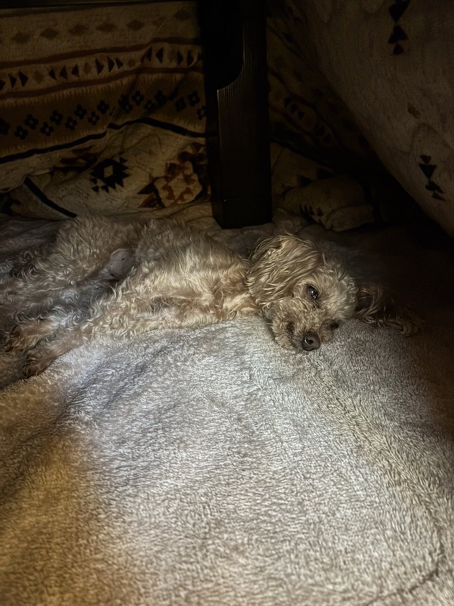 キム兄 (@bx63vh) / Posts / X