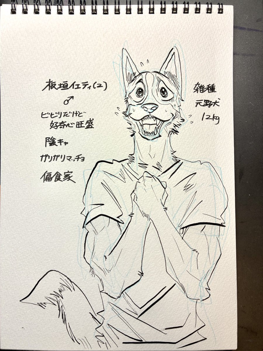 あなたのペットをヒト化しちゃいます😎✨
動物はなんでも可です。例で飼い犬を描いてみました。こんなかんじで、できる限りパーソナリティを教えてくださると非常に描きやすいです。よろしくお願いします! 