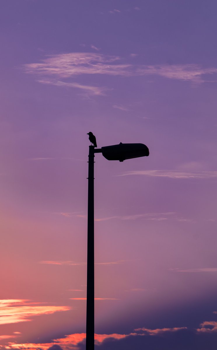 cotton candy sunrise 🫧