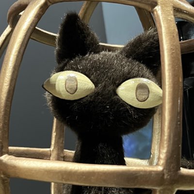 新しいプロフィール画像 新しい黒猫ちゃん写真撮って来たから……
