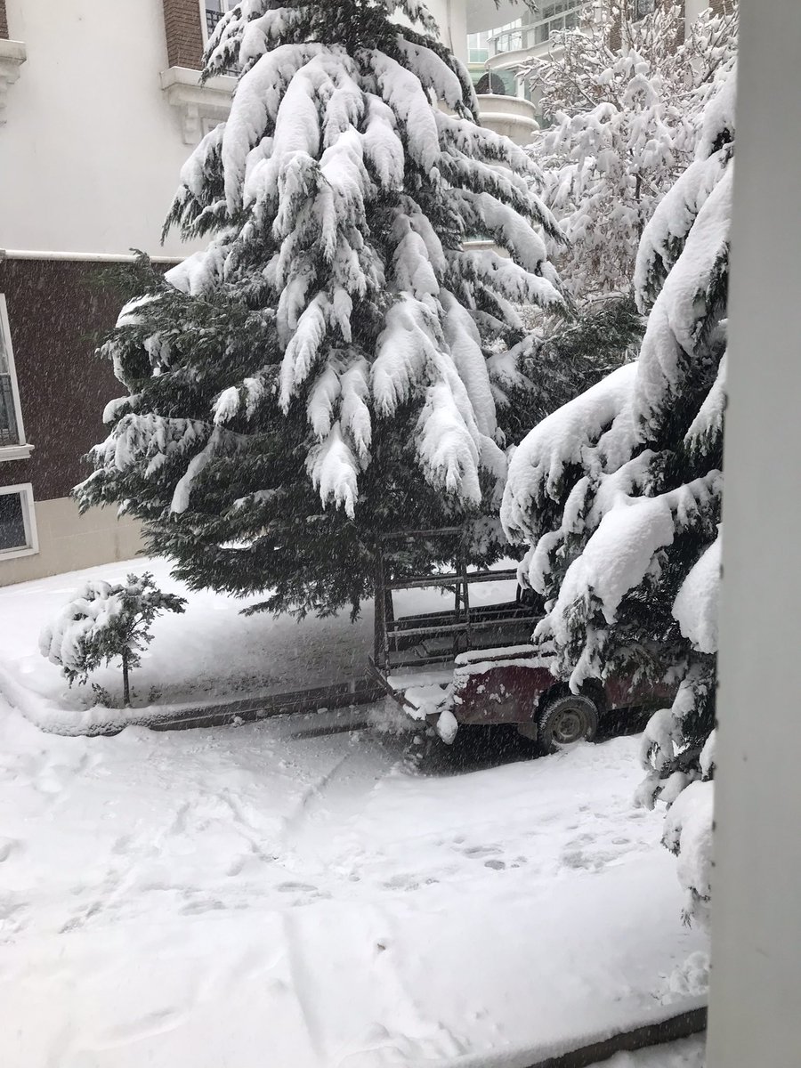 Önce makaleyi okuyacağım dedim ama karı izlemekten ne mümkün🙈 akşam olsa da kar topu oynasam😎