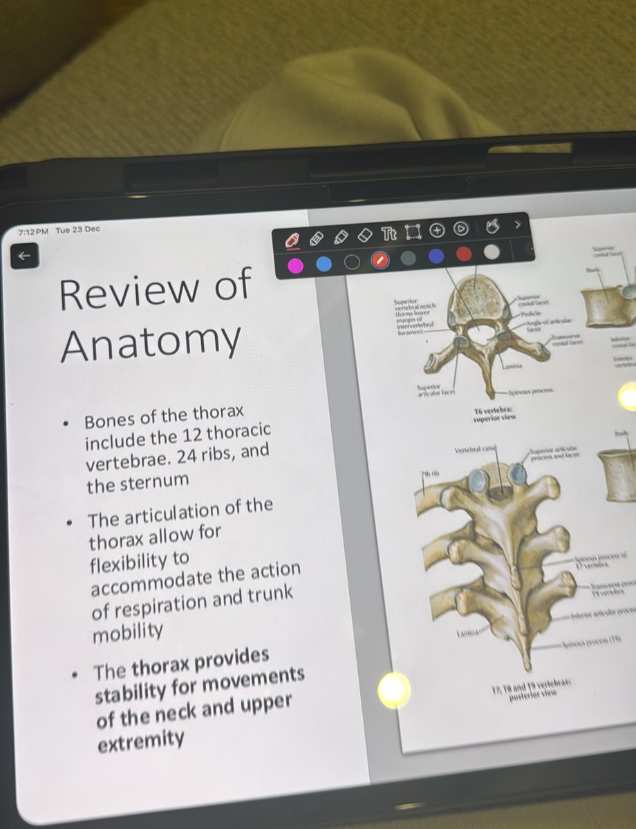 fejer03's tweet image. After 4 months of studying 
And one month alone of finals
Officially level 7 is over ✅