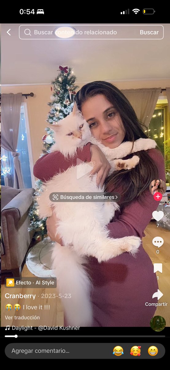 formadevida626's tweet photo. @FranckElLobo @CranberryNY Con razón el gato tiene cara de querer huir ni quien quiera a una desquiciada como algo tuyo que cringe https://t.co/SjR8DlF6Yi