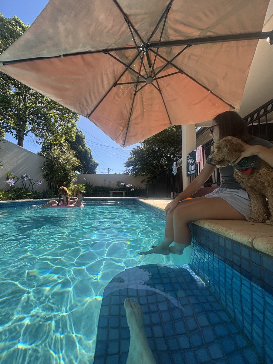 jamohull's tweet image. No day 3 of the Boxing Day test match, I’ve found a better option anyway 😜✌️