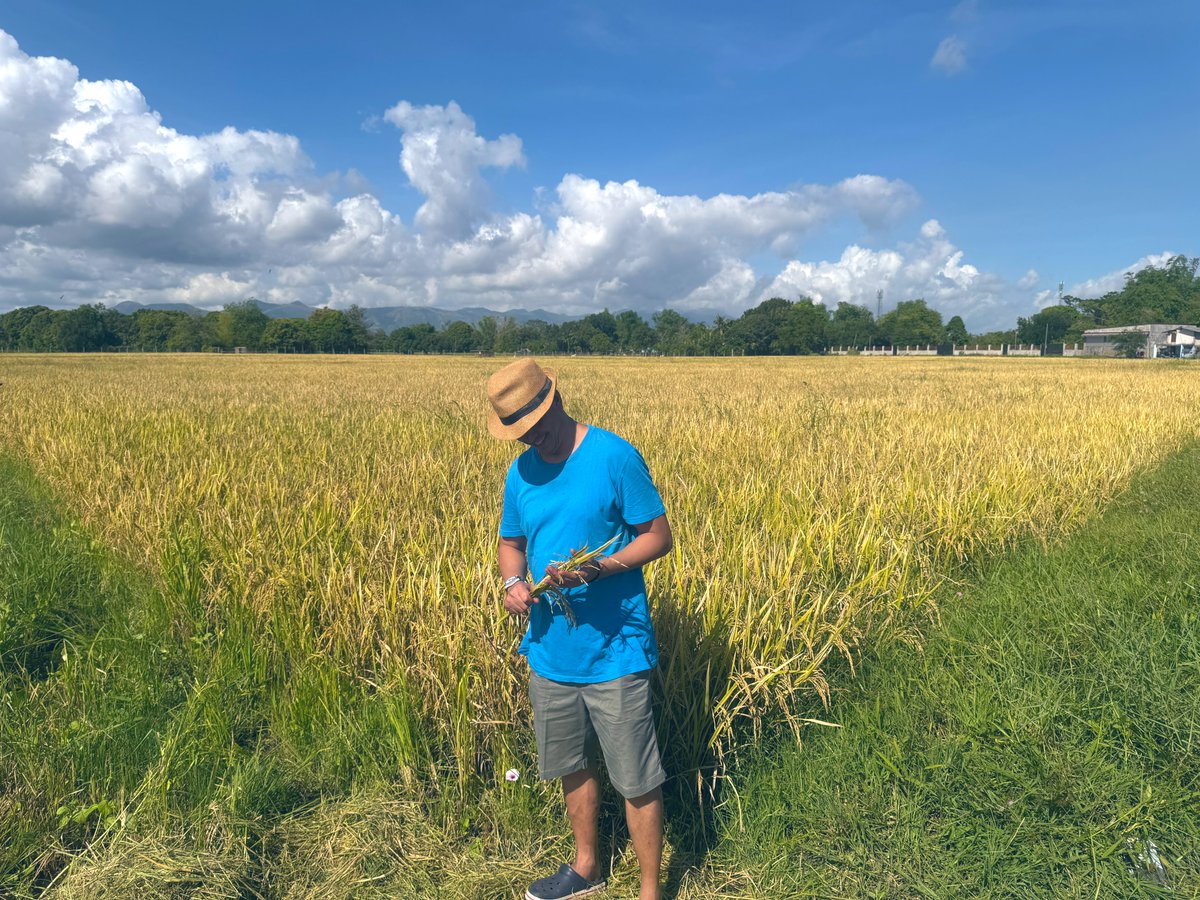 UD farmer tweet media