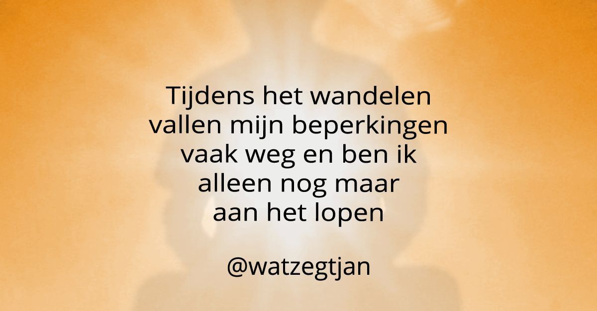 De beste 25 van 2025 #4Tijdens het wandelen vallen mijn beperkingen vaak weg en ben ik alleen nog maar aan het lopen.#levenmetNAH wp.me/p4UWiR-1F0 quote uit #blog #163 d #yoga #meditatie  #dankbaarheid #wandelen #film