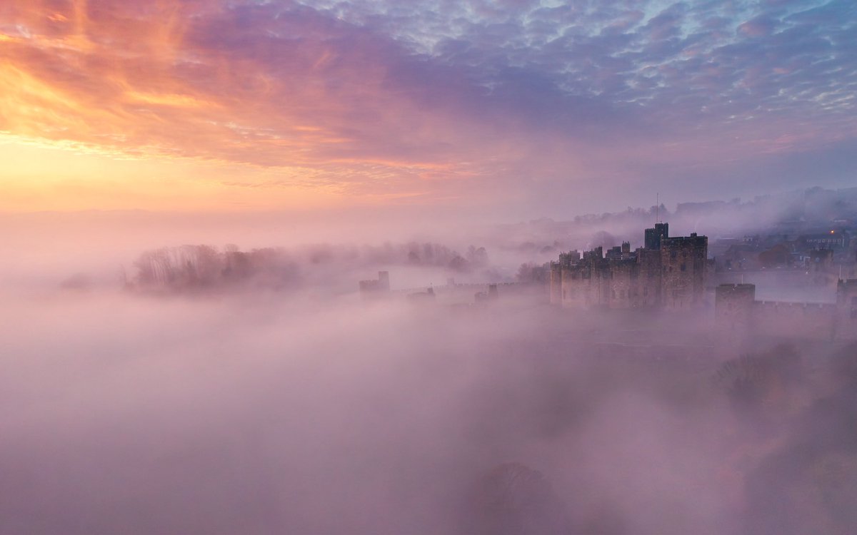 Jim Scott tweet media