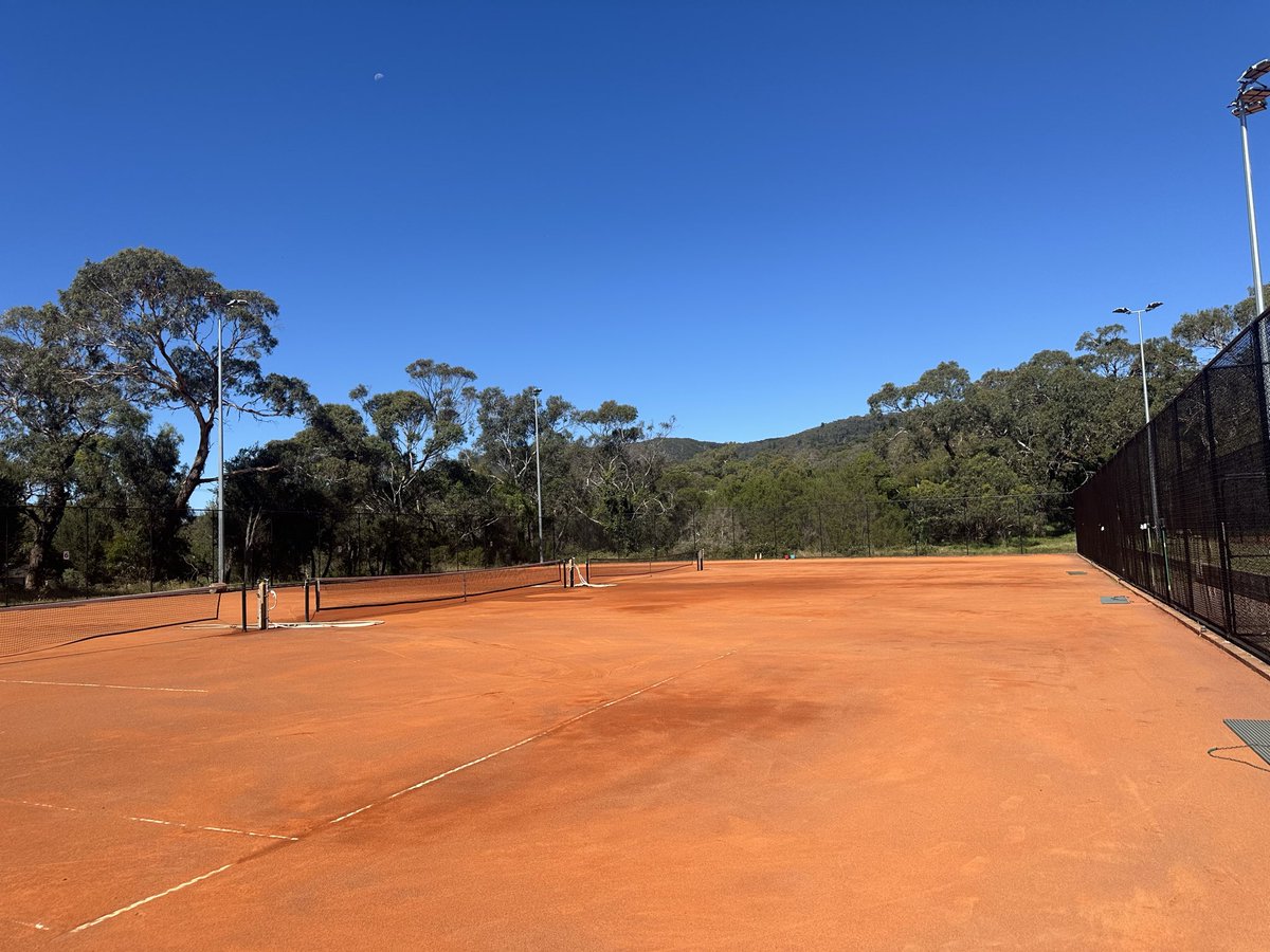 Paul McNamee tweet media