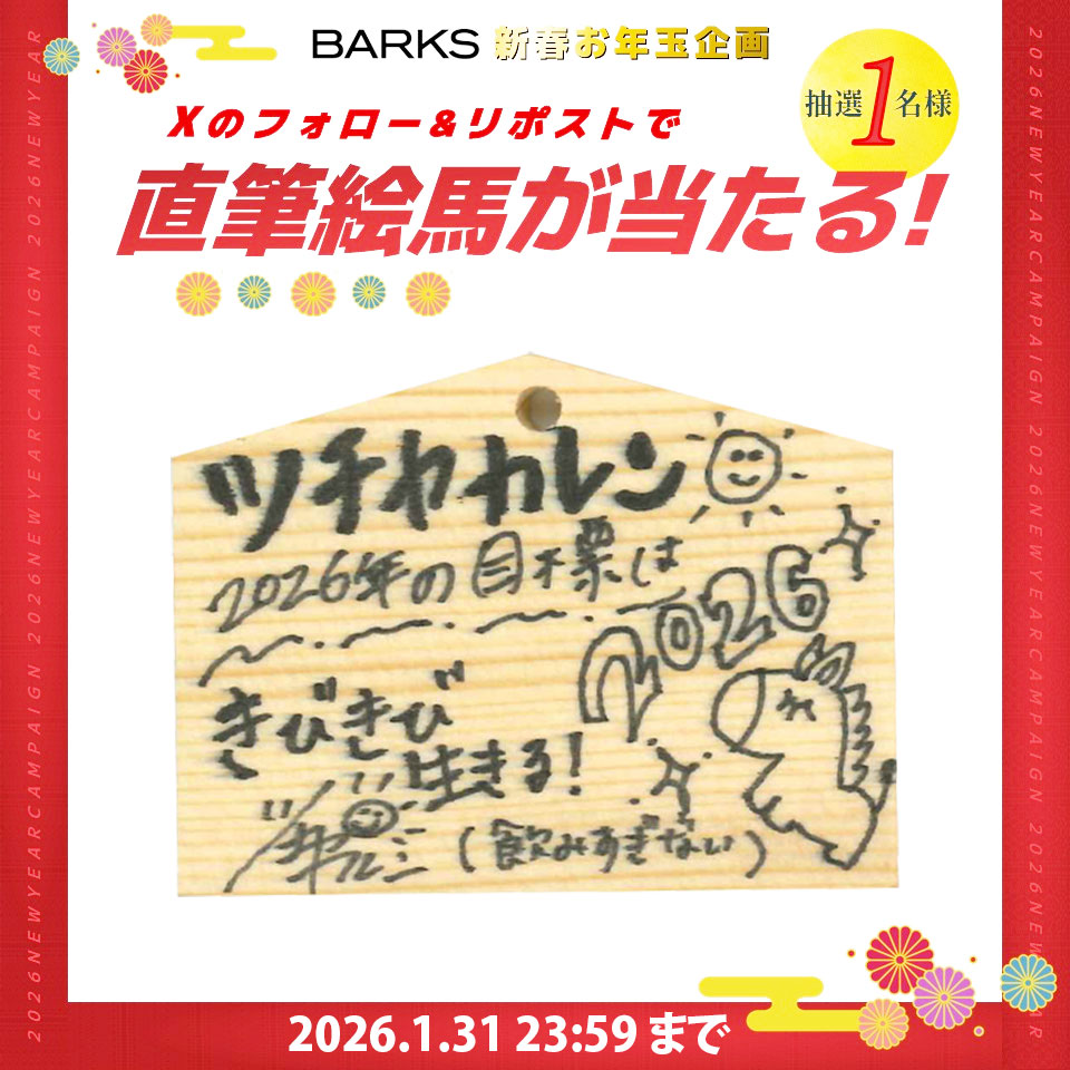 絵馬の馬うまくかけた🐎