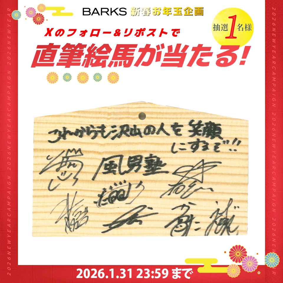 barks_news's tweet photo. ＼✨ フォロー＆リポストで応募 ✨／
🎍【BARKS新春企画】🎍

「風男塾  2026年の抱負」
直筆絵馬プレゼント🎁
1月31日（土）23:59まで

① @barks_newsをフォロー
② このポストをリポスト

応募詳細は下記
https://t.co/rbVVzgZhWE

#風男塾  #BARKS https://t.co/lU8jnP1cXp
