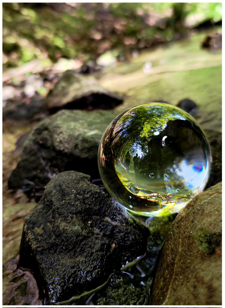 I was gifted this beautiful piece today by <a href="/FirstRainArt/">First Rain</a>, a talented photog whom I have the great privilege of calling friend, as part of her 4th Tezos Anniversary mints. If you haven't done so yet, or not for awhile, check out all her other lovely work.
objkt.com/tokens/KT1LH1k…