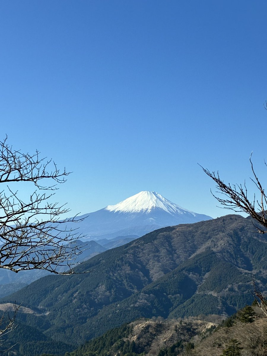 harapeko7253's tweet photo. 大山へ久々に。雨が降らない阿夫利、初めて。富士山も拝めて縁起が良い。御朱印が90度ぺこりってしてるのもレア😆霜柱がキラキラザクザクしてて、楽しい音を聞きながらの登山でした🏔️ https://t.co/t3I841S7kD