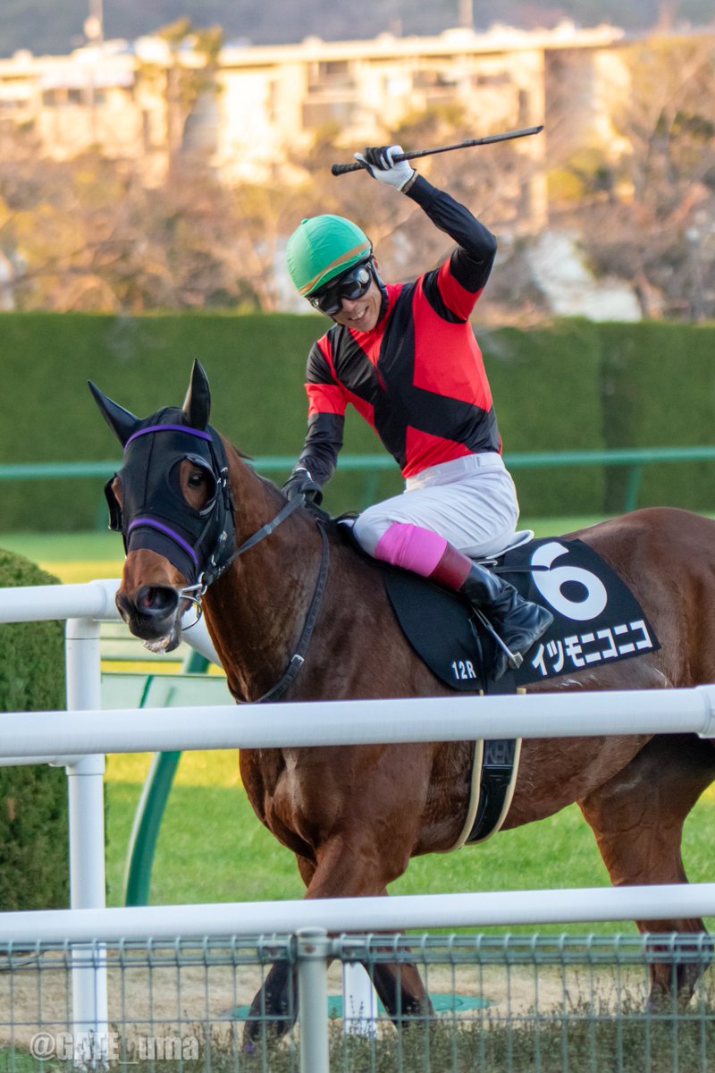 はっちゃん(Hachi) (@hachi16) / Posts / X