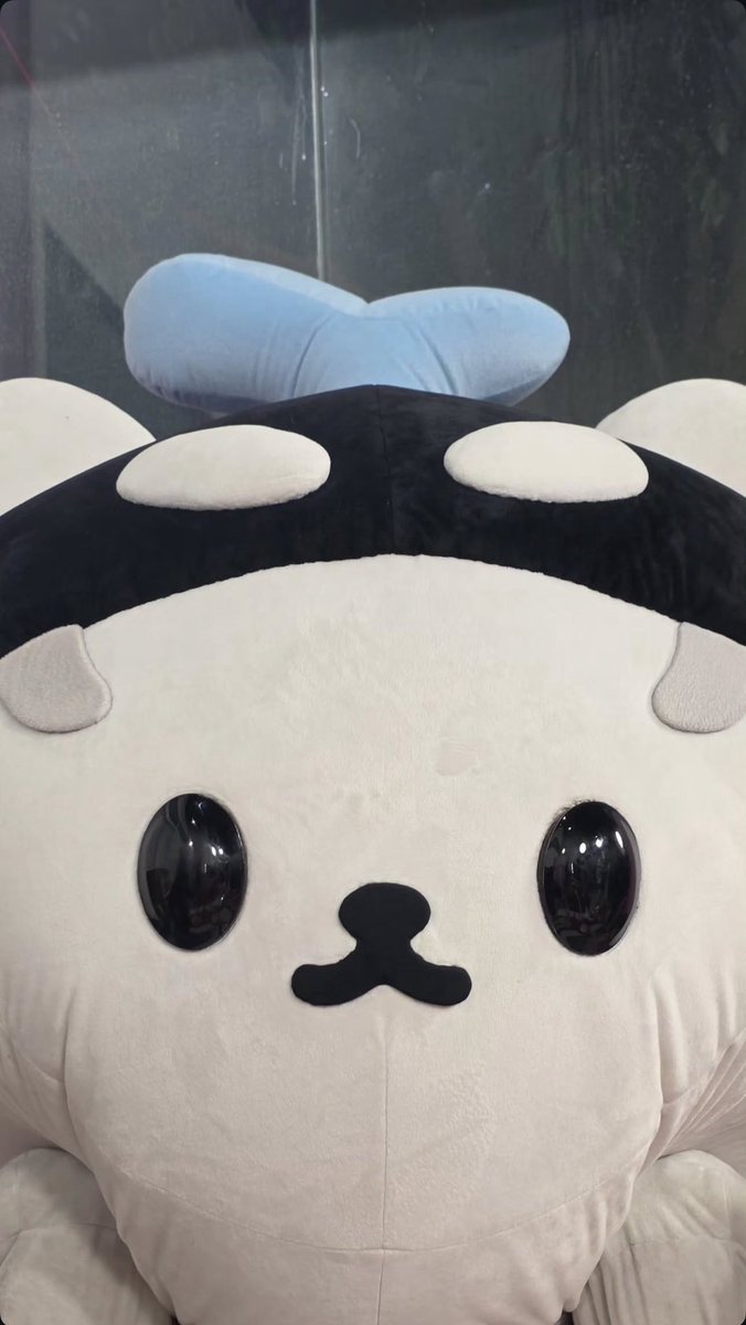 เหมือนลูกมาก 445555555555