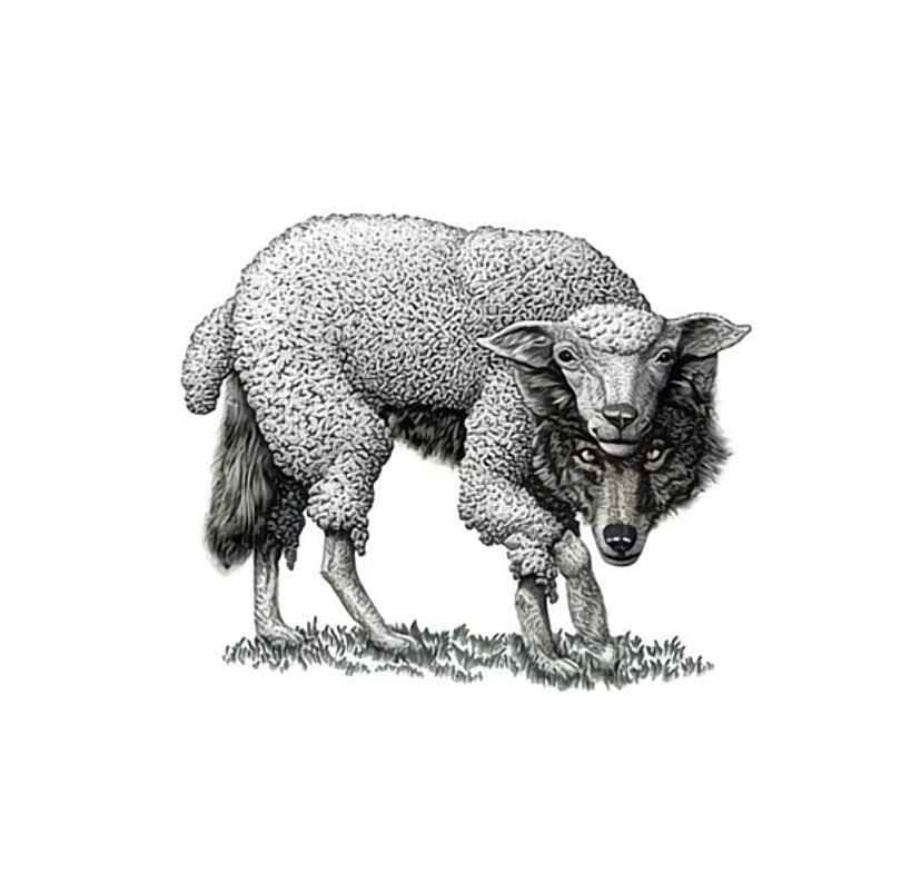 eu quando a minha mãe perguntou se eu comecei a me interessar pela novela por causa da Juquinha e da Lorena e eu disse pra ela que não