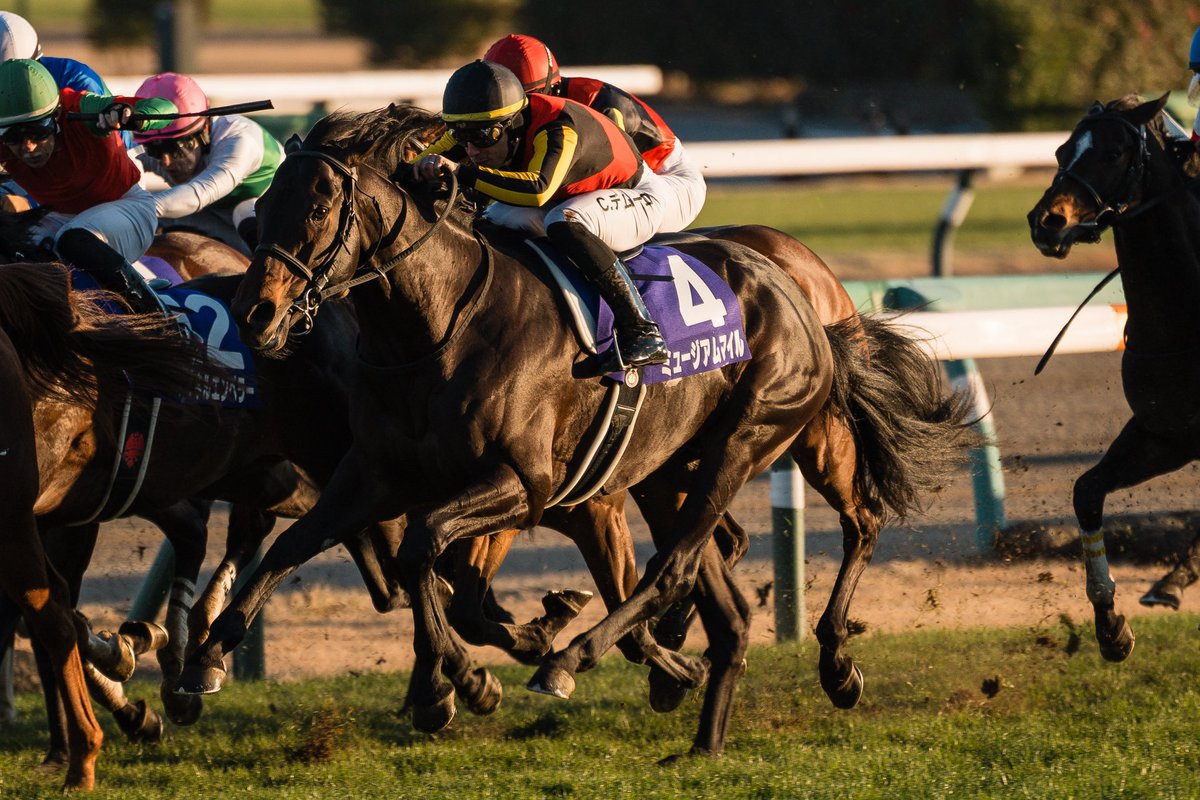 なゆう tweet media