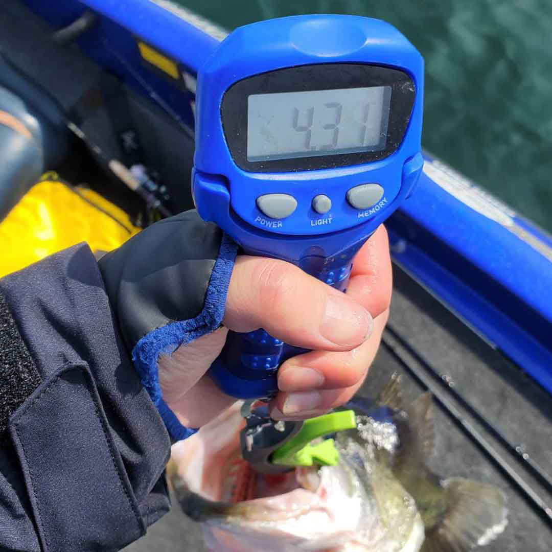 keitech_inc's tweet image. 当ページ管理人が周囲への忖度ナシで選ぶ “BEST HIT KEITECH LURES 2025”。

第3位は『スイングインパクトFAT』！

ファクトリースタッフ・平岡祐介が4kgフィッシュを手にした、スメルトヘッドとの組み合わせを挙げたいと思います。

サイズは3.3in、頭部をカットせずにセットするのがキモなのです。