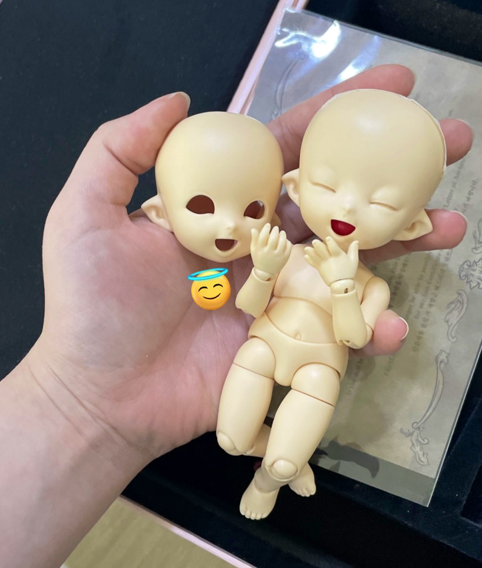 새 천사들이 왔어요