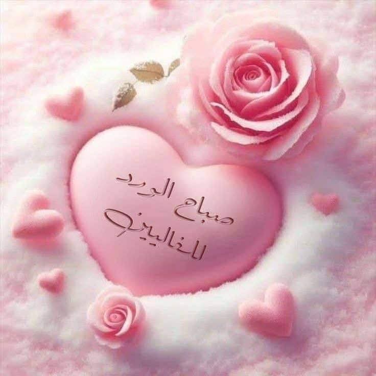 KELASH5791's tweet photo. @IndeViolet30806 Good morning, my beautiful Violet, the fragrance of roses and jasmine❤️ https://t.co/hze2yg6o24
