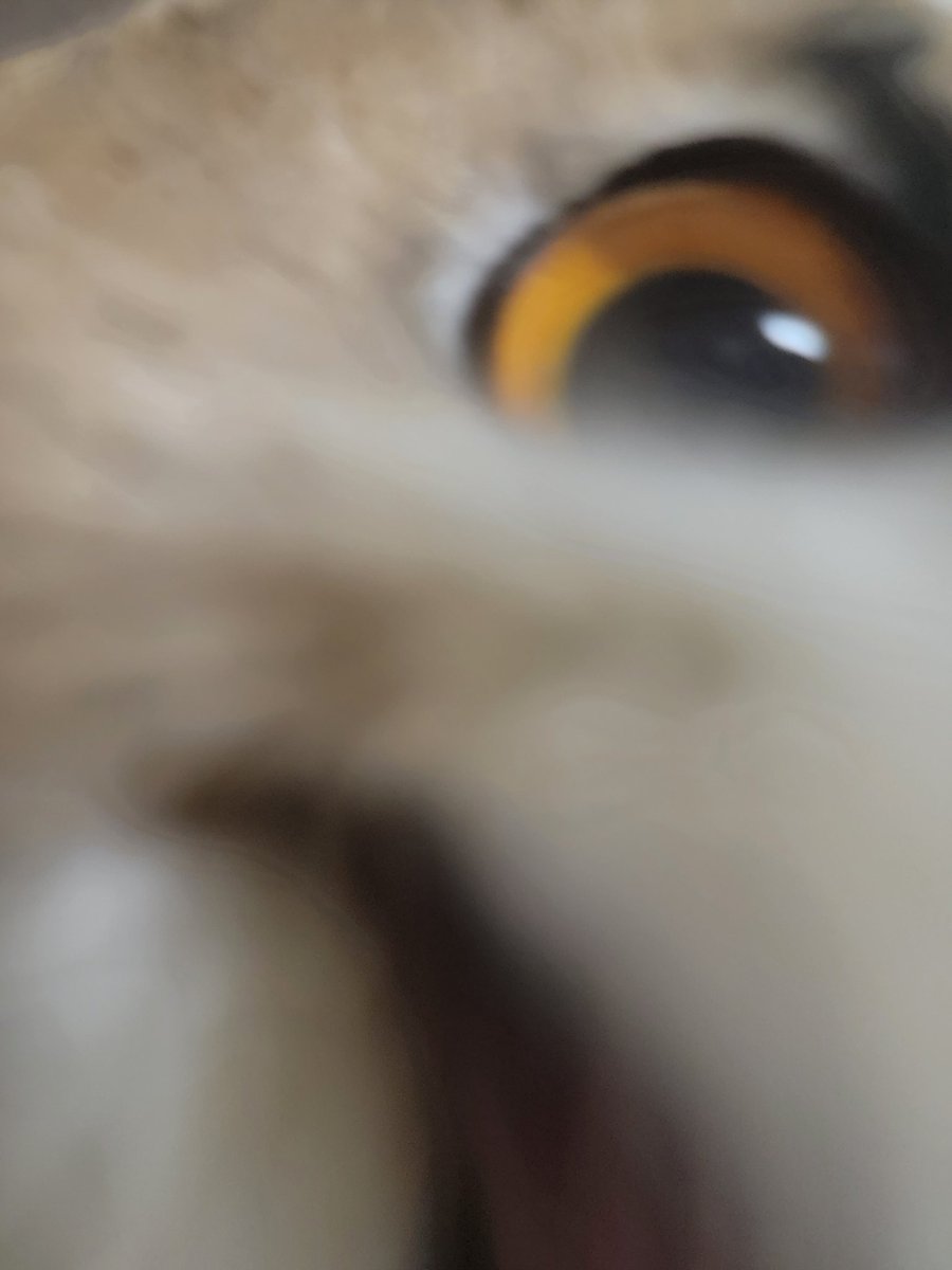 ののん様♡ のんのん様（@non_non427 ）様にかわいいアイコンをお願いして描いて